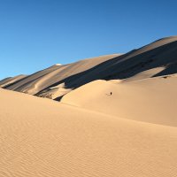 барханы Хонгорын-Элс :: Galina 