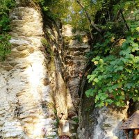 МАЦЕСТА :: Tata Wolf МАЦЕСТА :: Tata Wolf