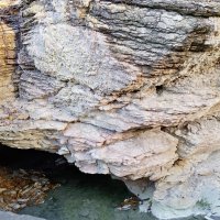 МАЦЕСТА :: Tata Wolf