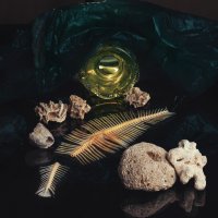 Натюрморт #2 :: Анатолий Бастунский