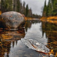 Осень :: Дмитрий Иванов