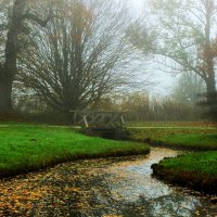 Туман окутал парк :: Юрий. Шмаков