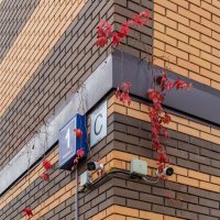 И сюда залез :: Валерий Иванович И сюда залез :: Валерий Иванович