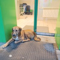 Входной контроль. :: Владимир Волик