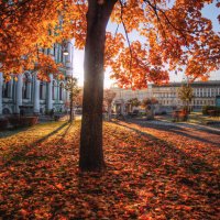 *** :: Сергей Григорьев *** :: Сергей Григорьев