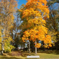 *** :: Геннадий Порохов