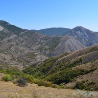 Природа Крыма :: Amazing Cosmea