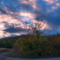 Осенний закат :: Наталья Димова