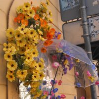 Осенний мотив :: Виктор Никитенко