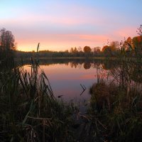 Закат на Финском озере :: Магомед .