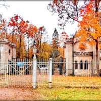 Осень золотая в парках ЦС ... :: Сергей 