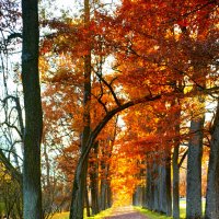 ... :: ВЛАДИМИР 