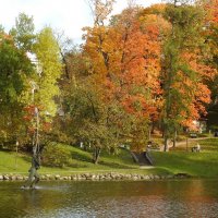 осень :: ИННА ПОРОХОВА