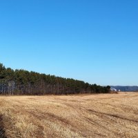 Прекрасный день!!! :: Радмир Арсеньев