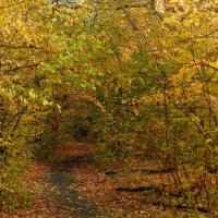 осенний портал :: Лера 