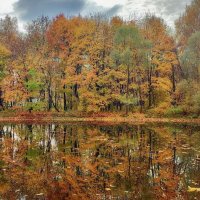 Краски осени :: Наталья Лакомова