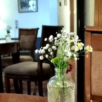 *** :: Любимова Ольга 