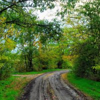 Октябрь. :: Владимир 