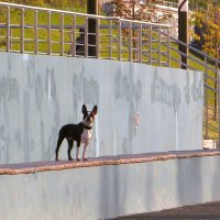 Так лучше видно :: Лариса С.