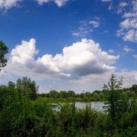 В конце июня... :: Николай Гирш В конце июня... :: Николай Гирш