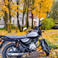 Осенний двор :: Галина Бобкина Осенний двор :: Галина Бобкина