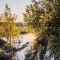 Яркое окончание дня начало лета :: Валерий VRN