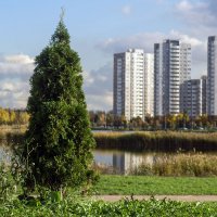 Осень :: VL Осень :: VL