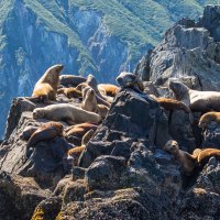 ... :: Жора Житников