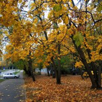 Октябрь как он есть :: Андрей Лукьянов