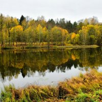 Пасмурно и дождливо. :: Милешкин Владимир Алексеевич 