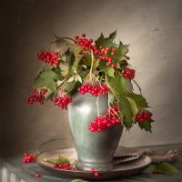 Ваза с гроздьями калины. :: Bosanat 