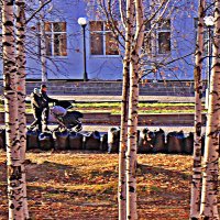 Октябрь...Последний погожий денек! :: Владимир 