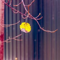 Осеннее одиночество :: Валерий Иванович