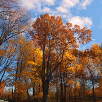 *** :: Сергей Григорьев