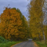 Осенняя дорога :: Сергей Цветков Осенняя дорога :: Сергей Цветков