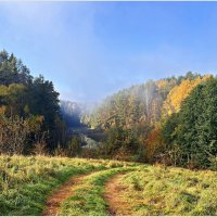 Роминтенская пуща. :: Валерия Комова Роминтенская пуща. :: Валерия Комова