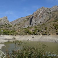 Природа Крыма :: Amazing Cosmea