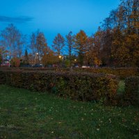 Вечером :: Александр Синдерёв