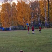 Холодно,однако,вратарю стоять :: Виктор 