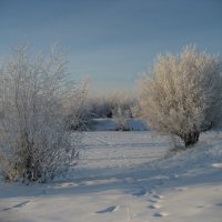 Зима :: Anna Ivanova