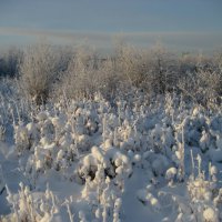 Зима :: Anna Ivanova