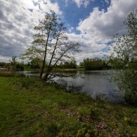 Озеро в апреле... :: Николай Гирш