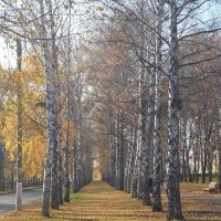 Мой город :: Венера Чуйкова Мой город :: Венера Чуйкова