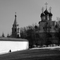 В Коломенском. :: Борис Бутцев