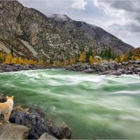 Созерцая красоту.. :: Алексей Мезенцев