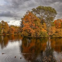 Елагин остров :: skijumper Иванов