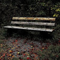 Осень 13 :: Алексей Кузнецов