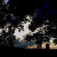 Осень 15 :: Алексей Кузнецов