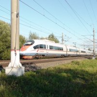 Сапсан :: fogmeadowww m