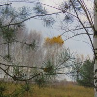 *** :: НАТАЛЬЯ 